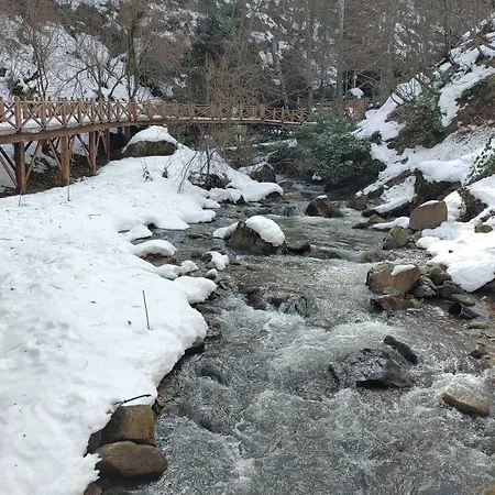 Turkish Mountain Retreat * Saadet