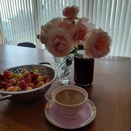 Turkish Mountain Retreat Frühstückspension *